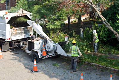 Lewisville Tree Service